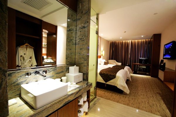 Hotel Heyi Xindi (Xinxiang)